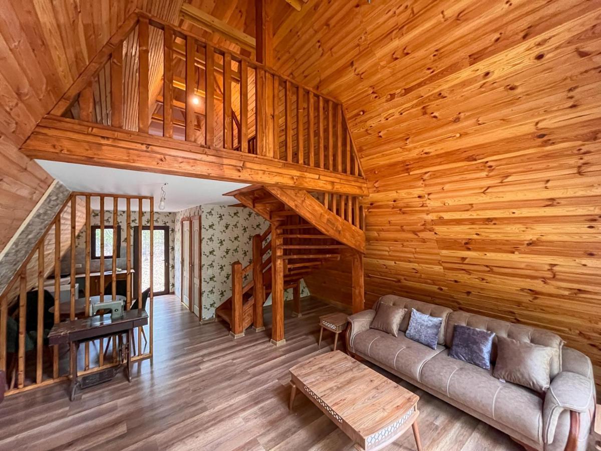 Artarica Holiday home