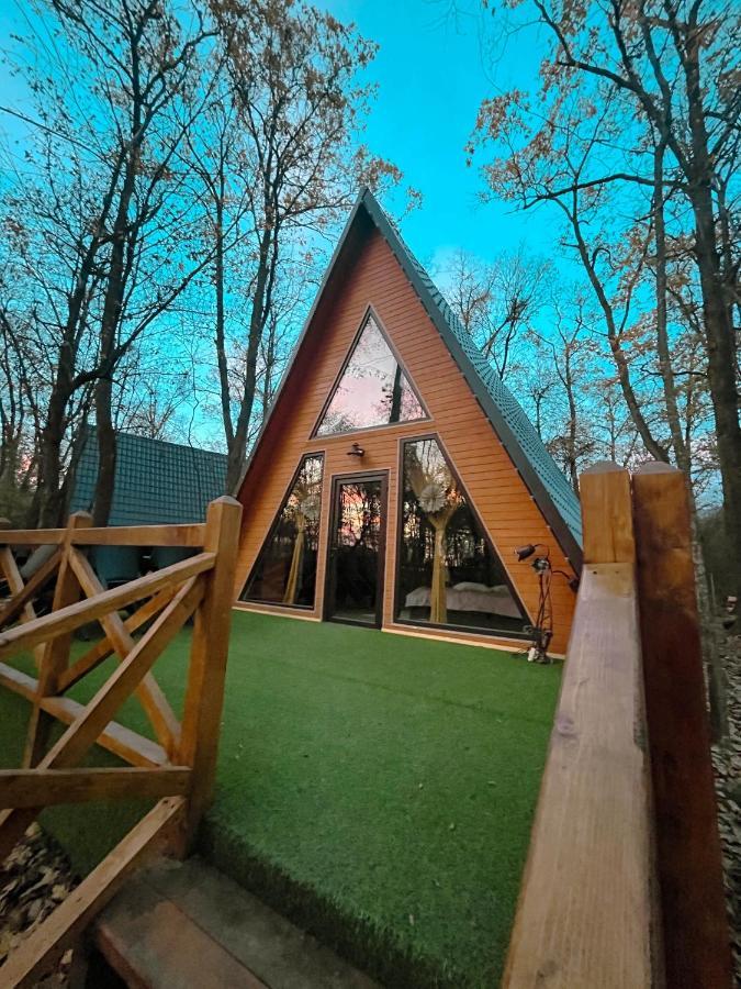 Artarica Holiday home Calugarenii (Dambovita)