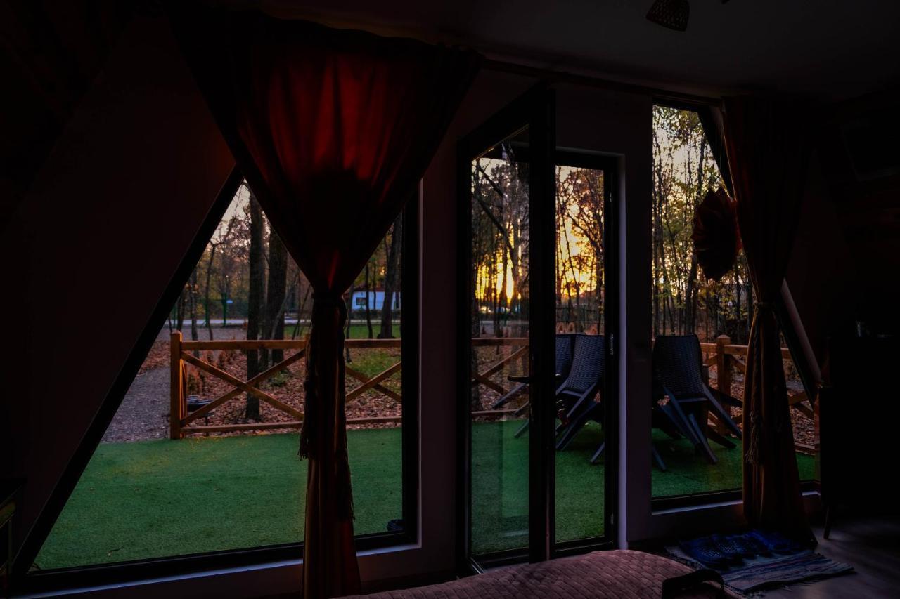 Artarica Holiday home Calugarenii (Dambovita)